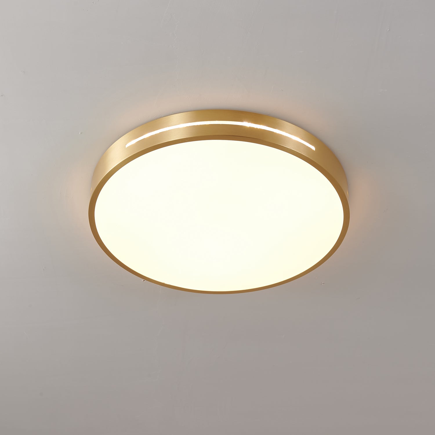 Caelum Ceiling Light by FIFTH & BEAM — product view 17