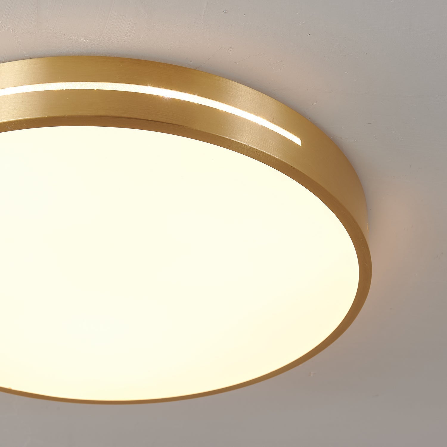 Caelum Ceiling Light by FIFTH & BEAM — product view 4