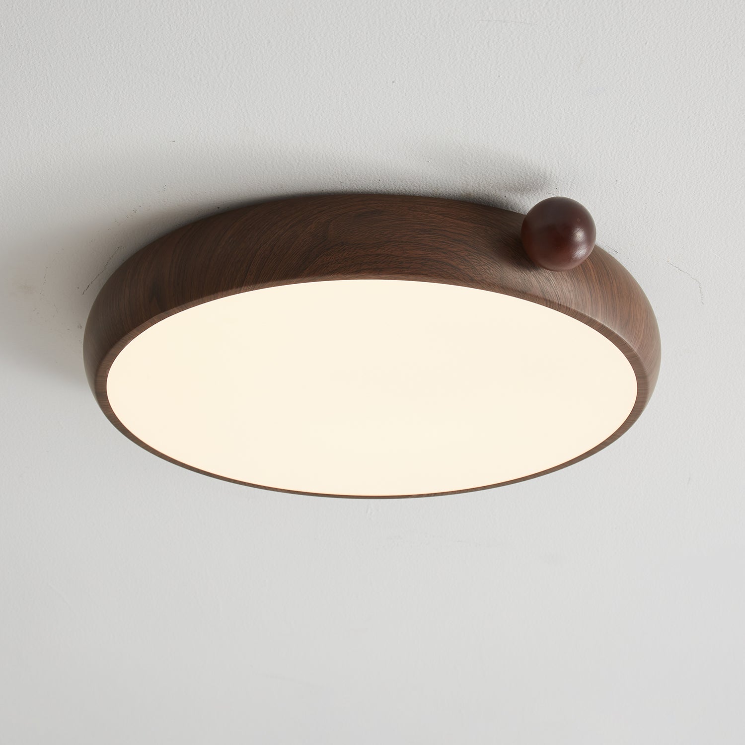 Calindra Ceiling Light by FIFTH & BEAM — product view 9