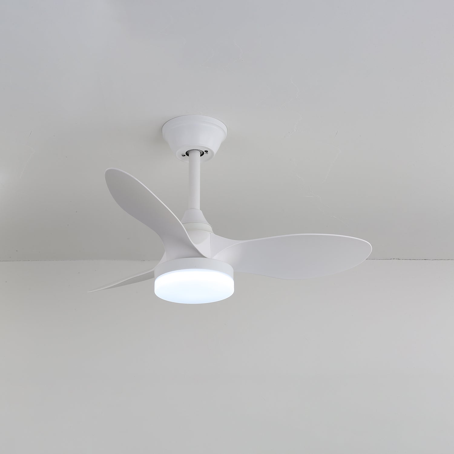 Callum Ceiling Fan Light by FIFTH & BEAM — product view 9