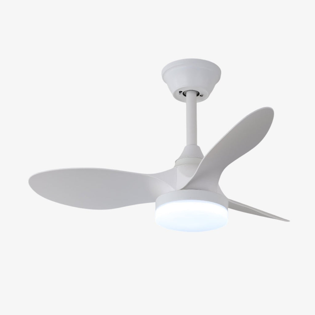 Callum Ceiling Fan Light by FIFTH & BEAM — product view 7
