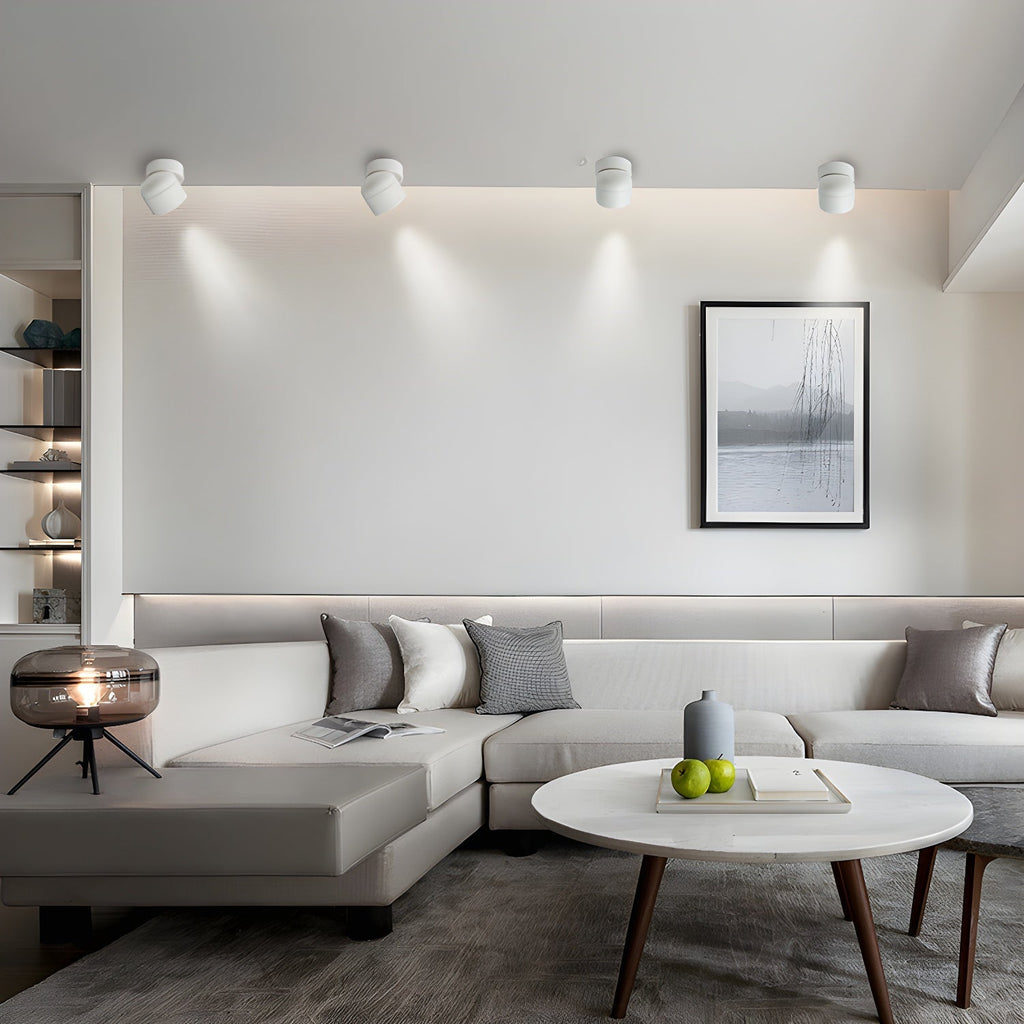 Clara Rotating Surface Downlight by FIFTH & BEAM — product view 8