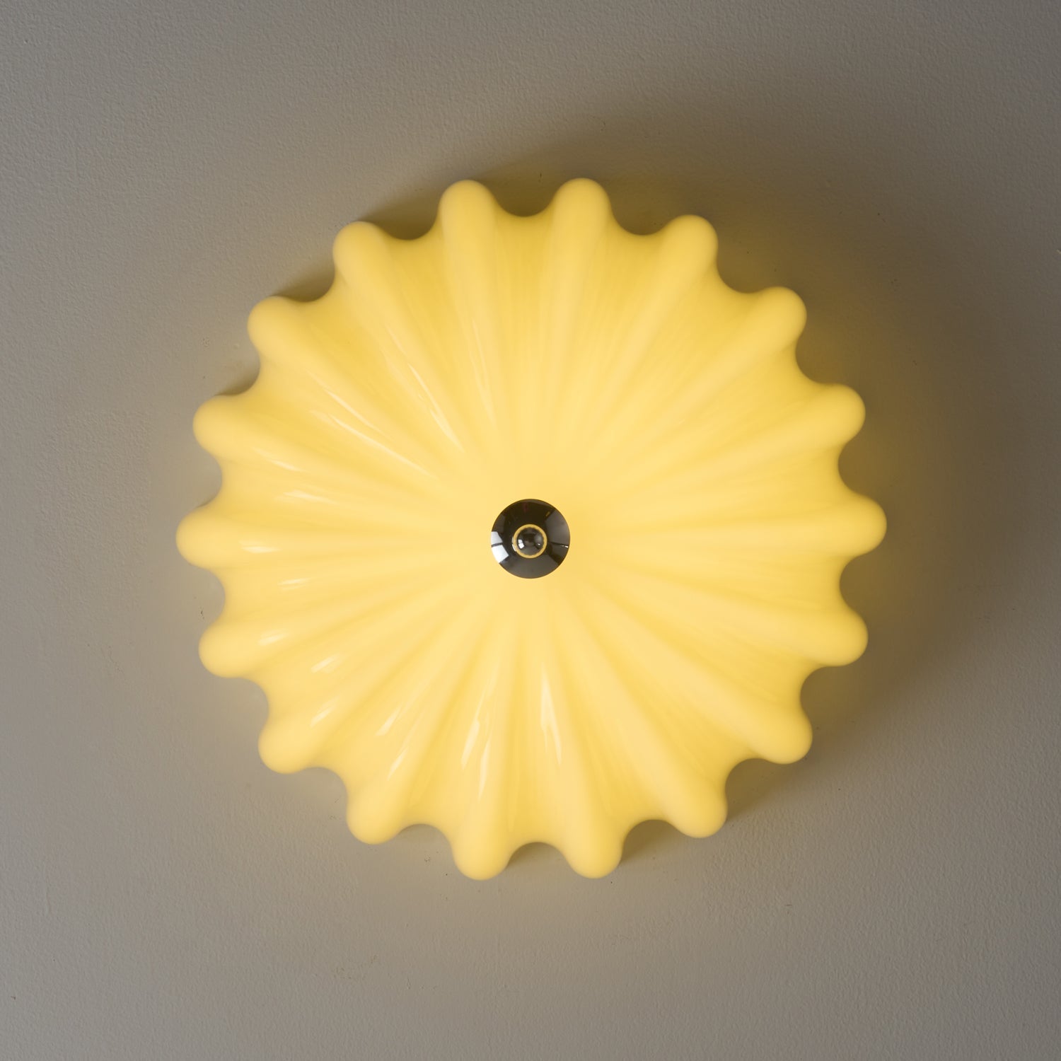 Dewdrop Shell Ceiling Light by FIFTH & BEAM — product view 6