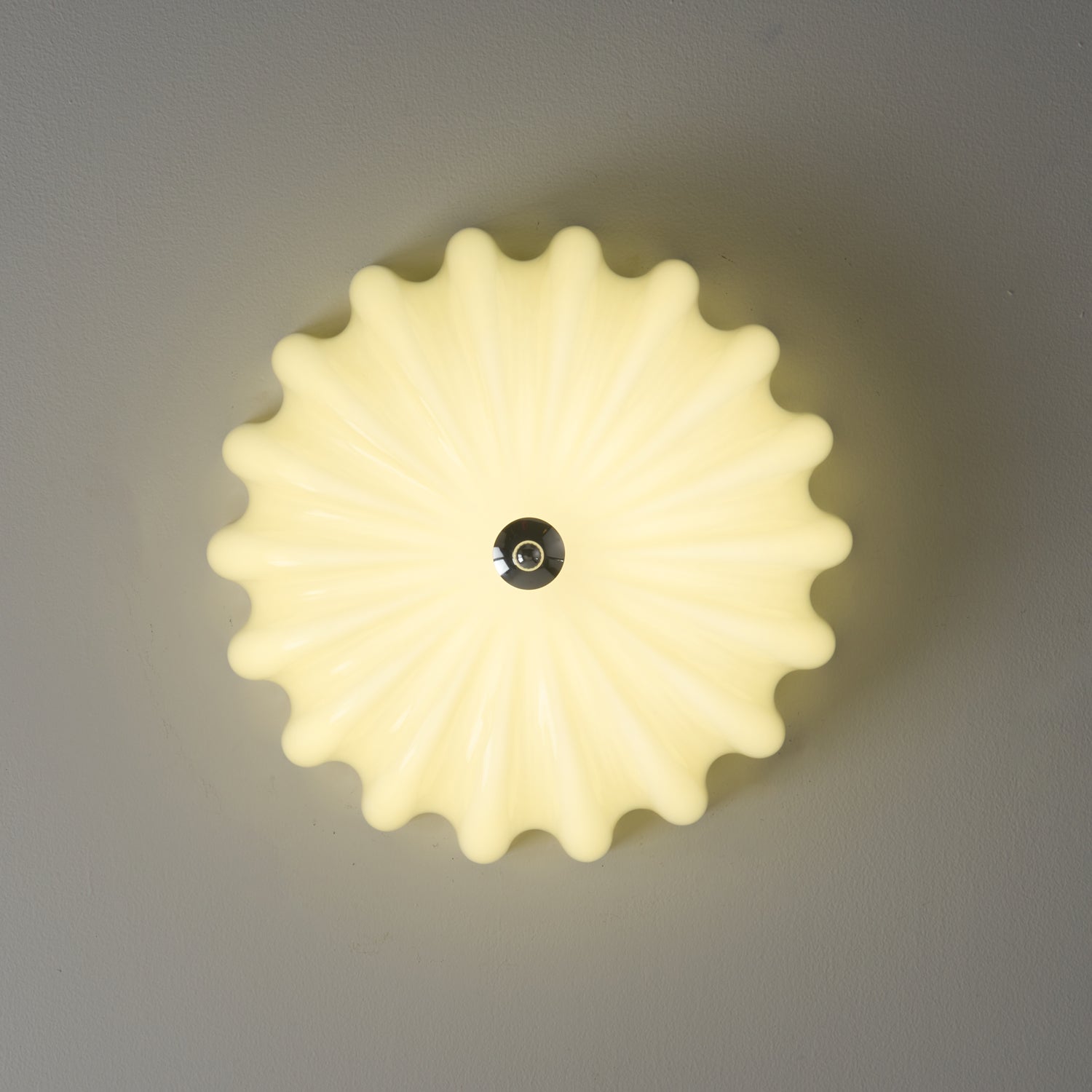Dewdrop Shell Ceiling Light by FIFTH & BEAM — product view 5