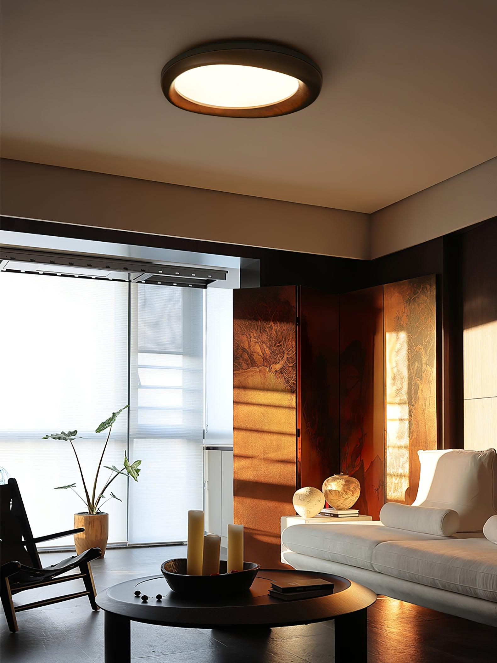 Dome Ceiling Light by FIFTH & BEAM — product view 15