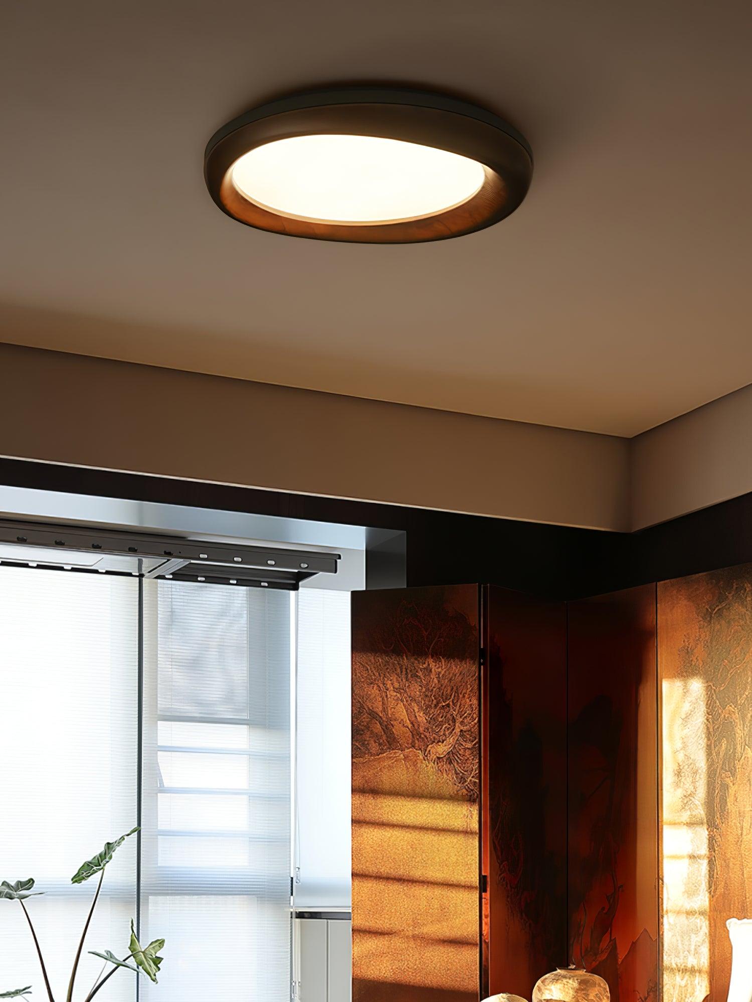 Dome Ceiling Light by FIFTH & BEAM — product view 4