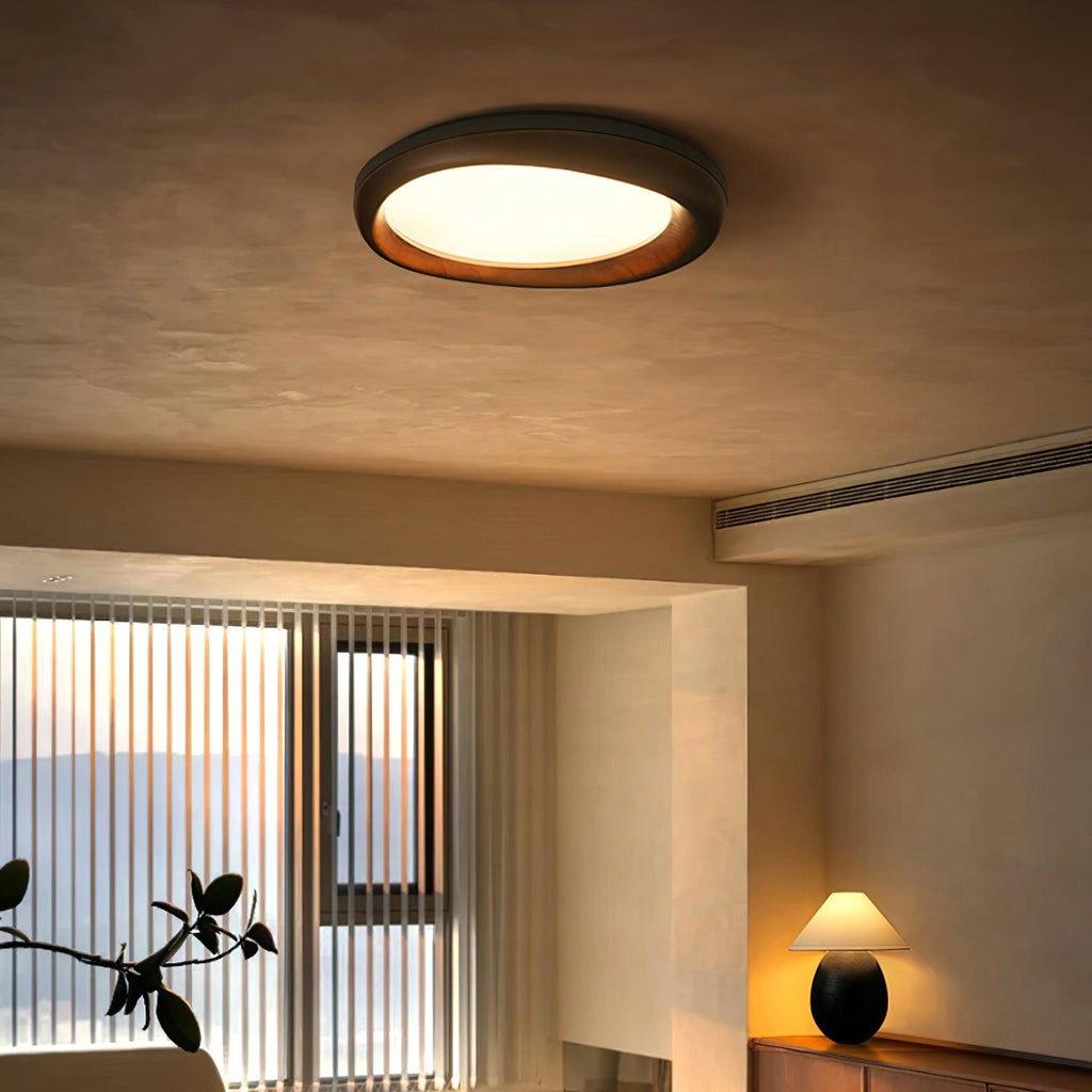 Dome Ceiling Light by FIFTH & BEAM — product view 2