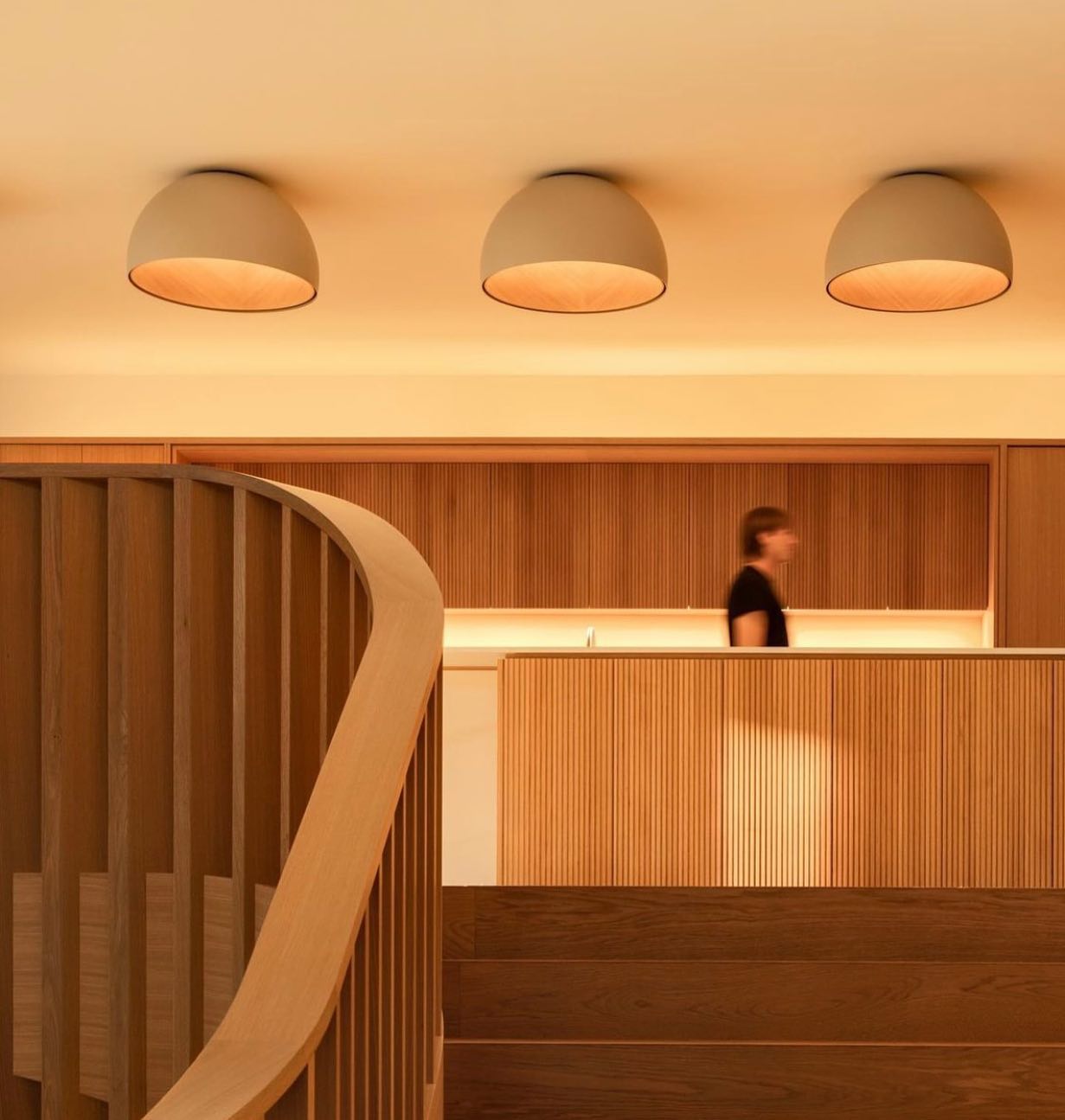 Duo Ceiling Lamp by FIFTH & BEAM — product view 8