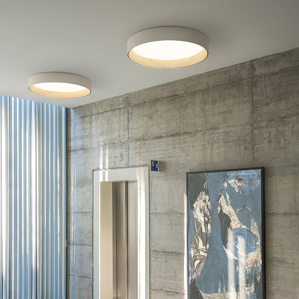 Duo Round Ceiling Lamp by FIFTH & BEAM — product view 12