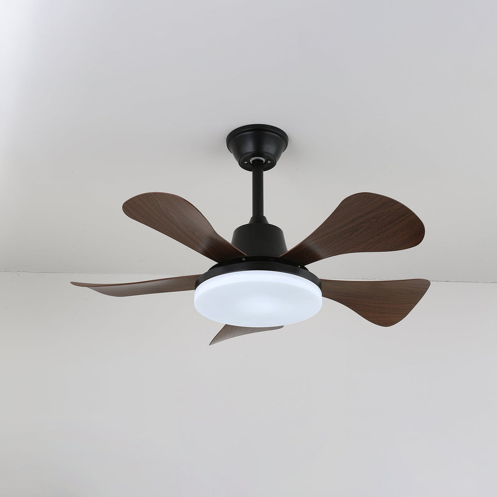 Eliza Ceiling Fan Light by FIFTH & BEAM — product view 5