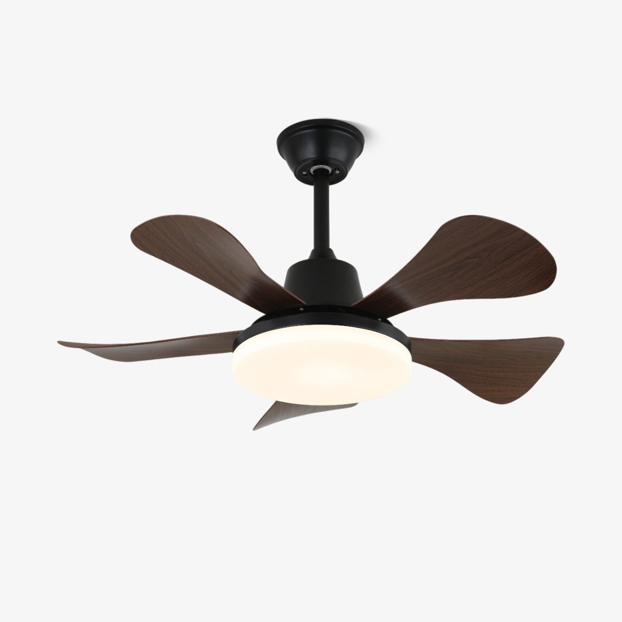 Eliza Ceiling Fan Light by FIFTH & BEAM — product view 1