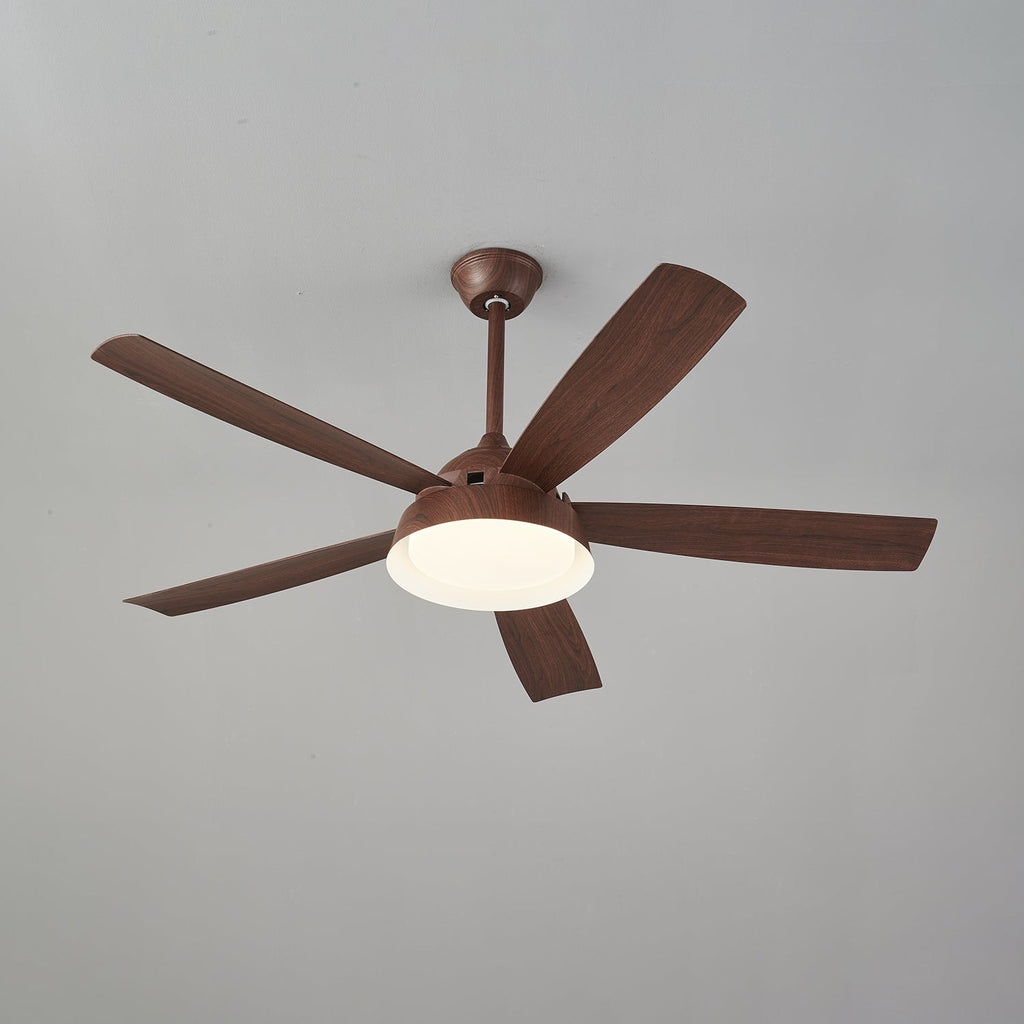 Elysian Ceiling Fan Light by FIFTH & BEAM — product view 20