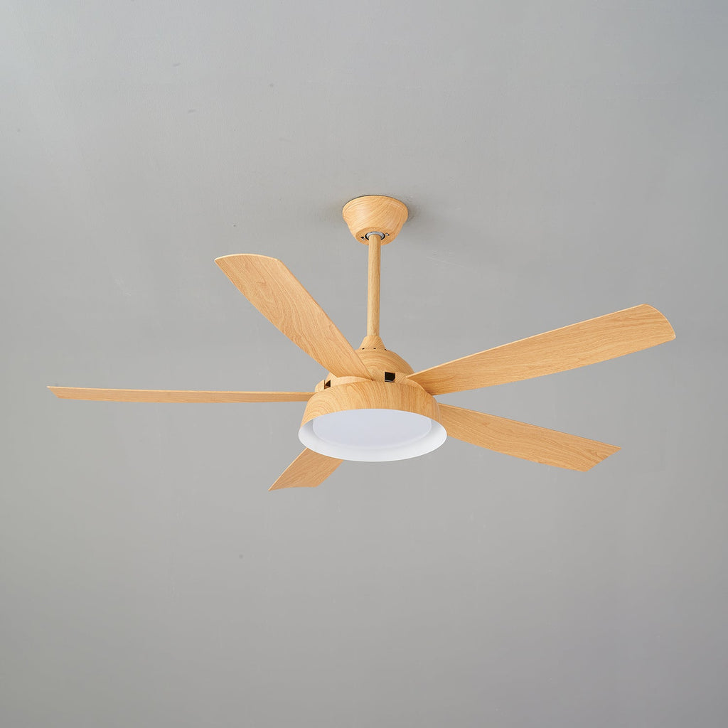 Elysian Ceiling Fan Light by FIFTH & BEAM — product view 21