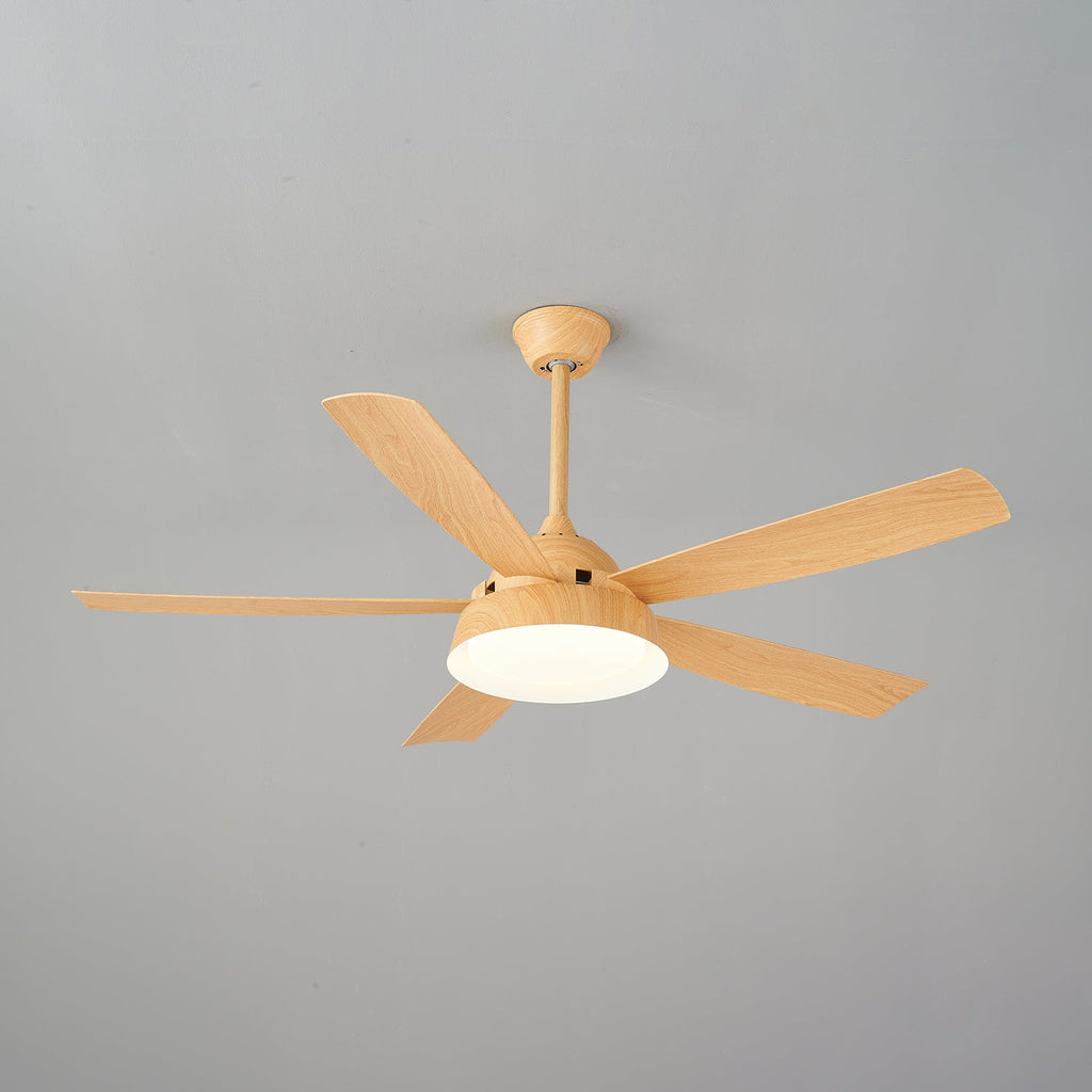 Elysian Ceiling Fan Light by FIFTH & BEAM — product view 22