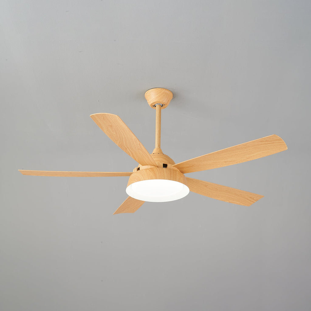 Elysian Ceiling Fan Light by FIFTH & BEAM — product view 24