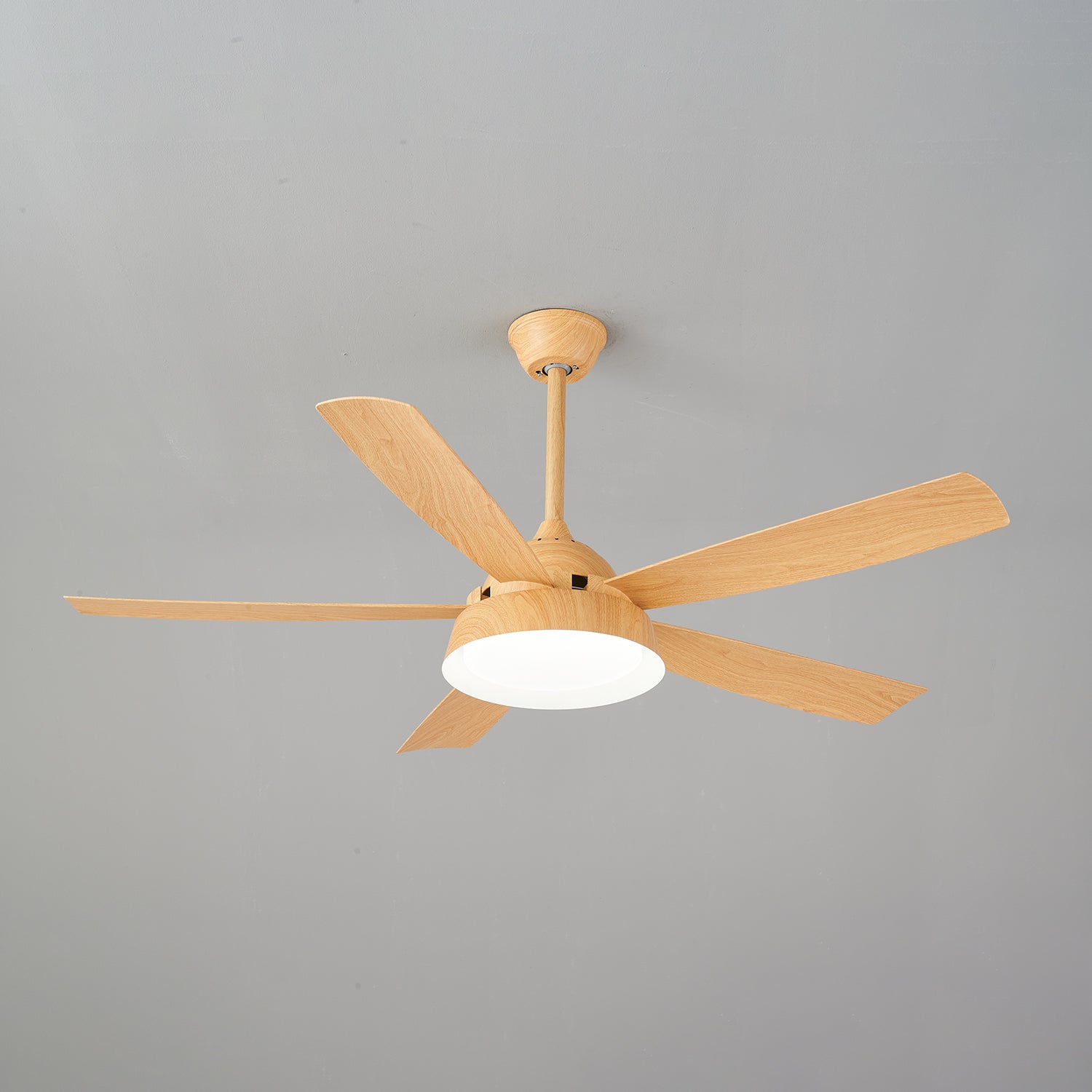 Elysian Ceiling Fan Light by FIFTH & BEAM — product view 24