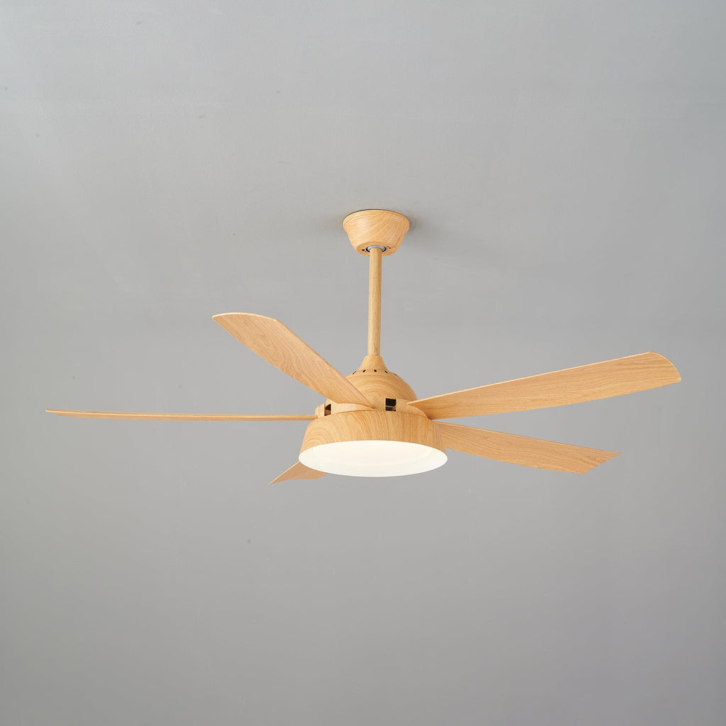 Elysian Ceiling Fan Light by FIFTH & BEAM — product view 26