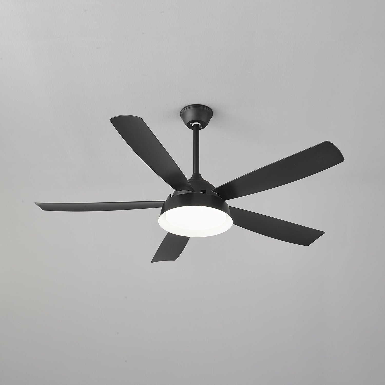 Elysian Ceiling Fan Light by FIFTH & BEAM — product view 30