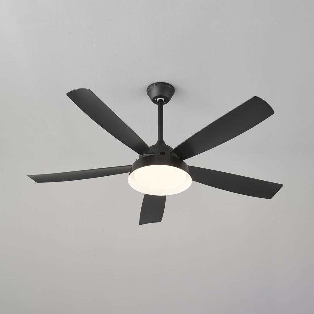 Elysian Ceiling Fan Light by FIFTH & BEAM — product view 32