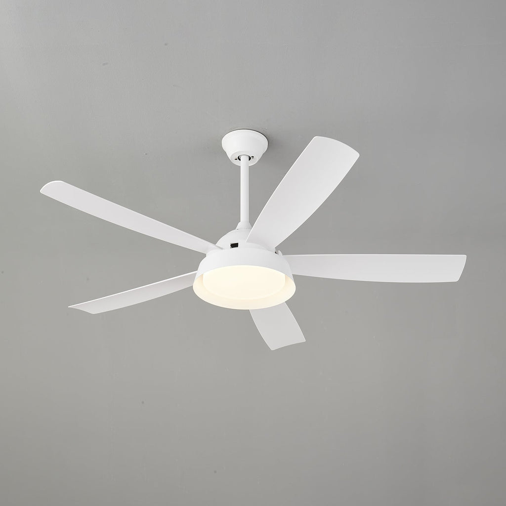 Elysian Ceiling Fan Light by FIFTH & BEAM — product view 13