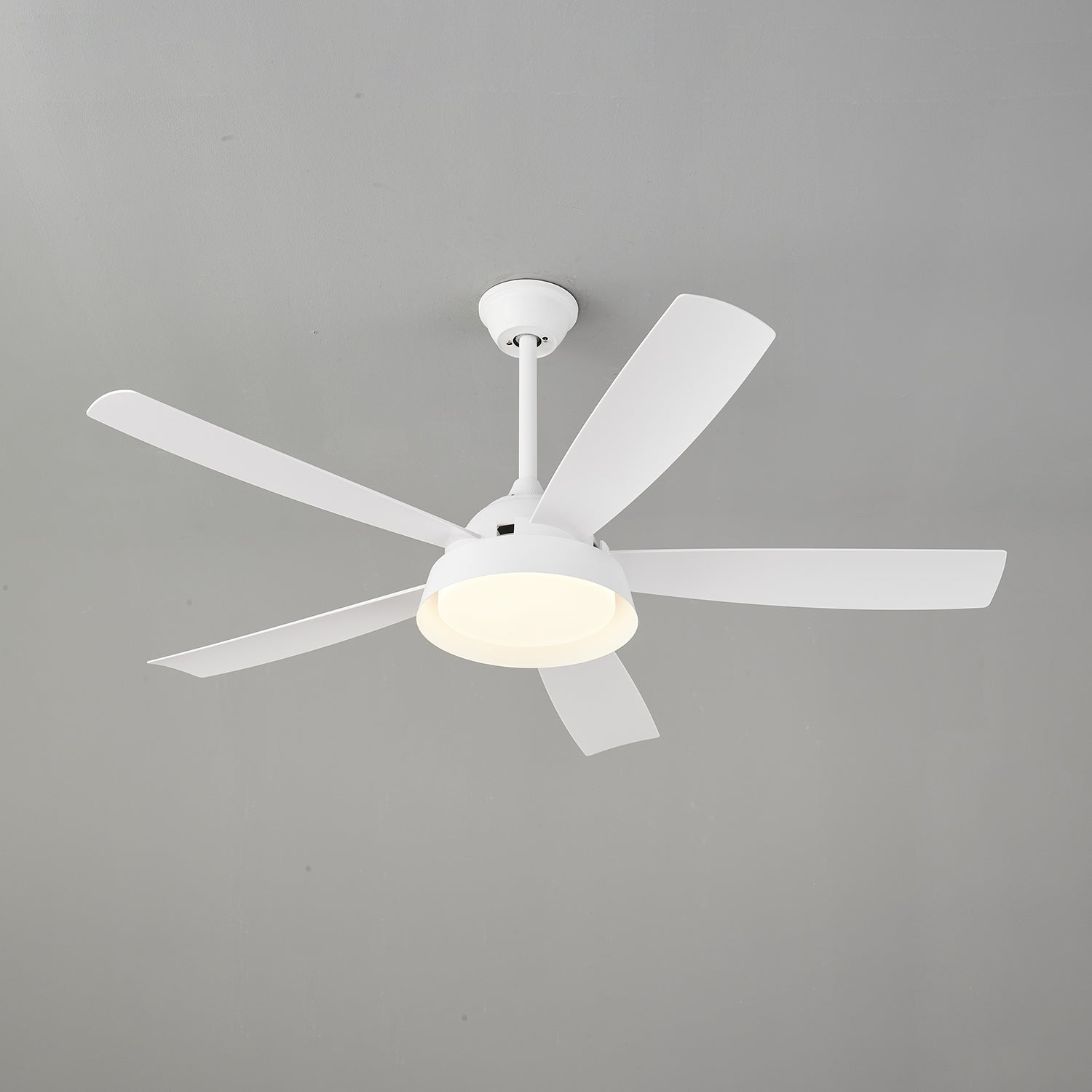 Elysian Ceiling Fan Light by FIFTH & BEAM — product view 13