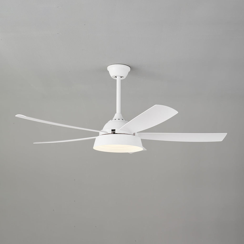 Elysian Ceiling Fan Light by FIFTH & BEAM — product view 14