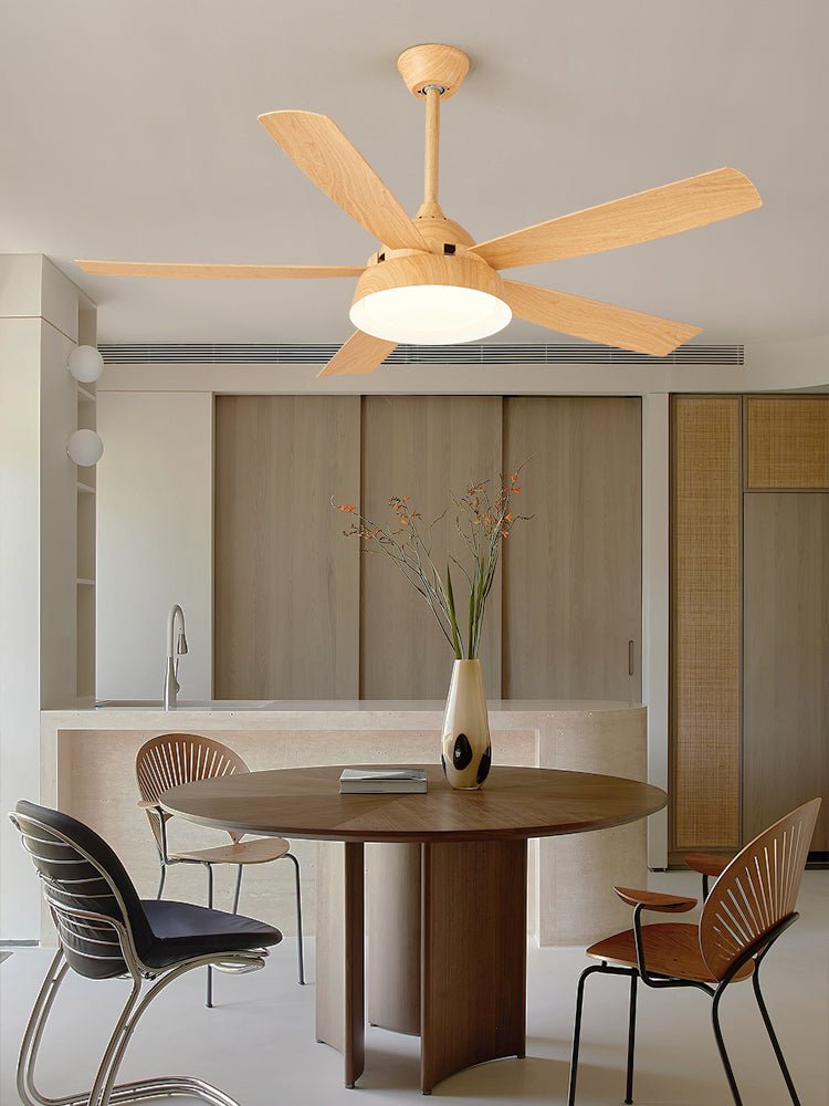 Elysian Ceiling Fan Light by FIFTH & BEAM — product view 37