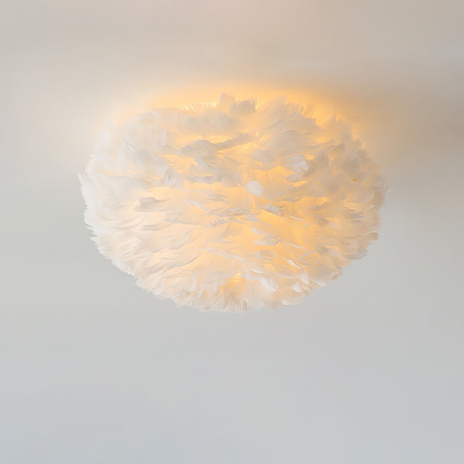 Feathered Ceiling Lamp by FIFTH & BEAM — product view 10