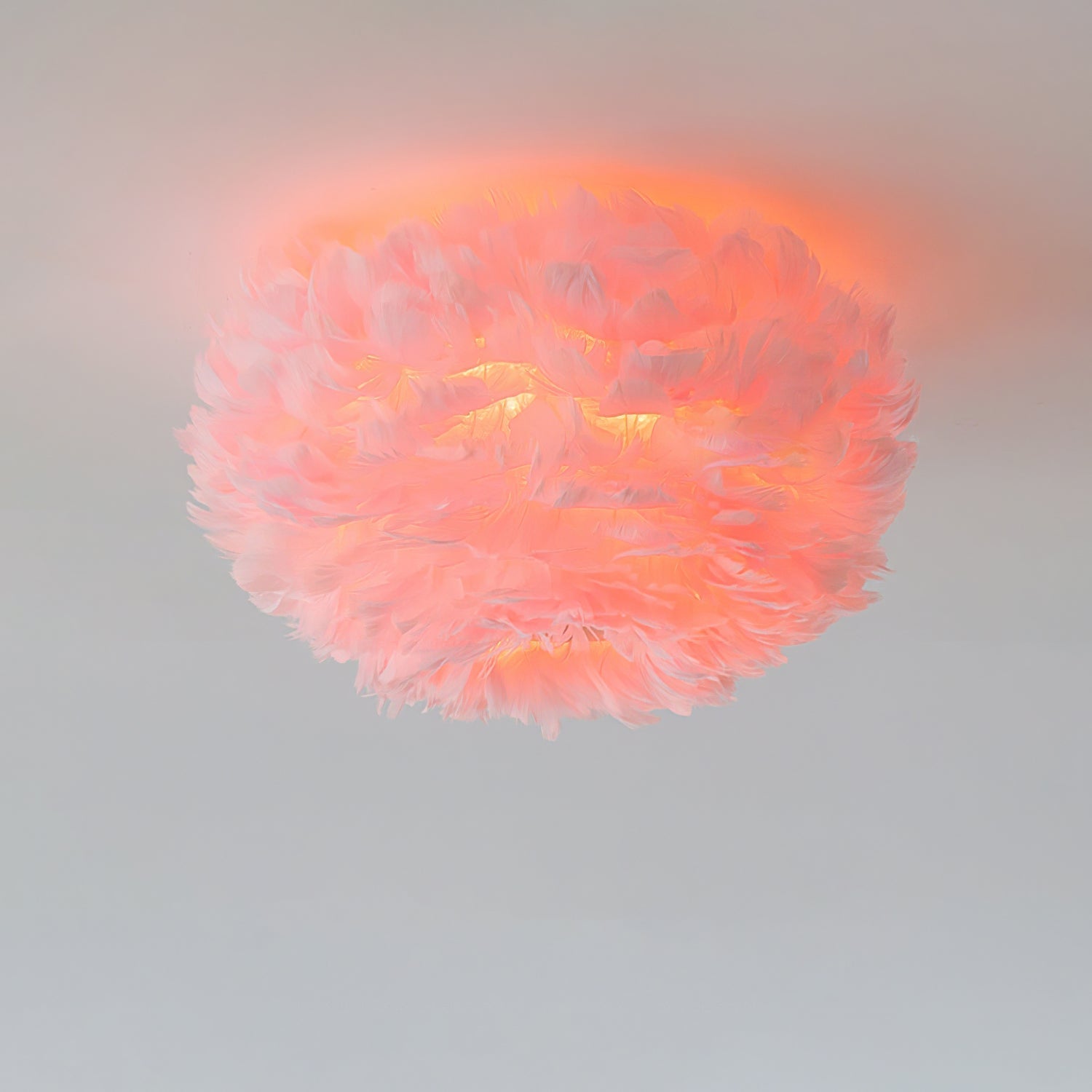Feathered Ceiling Lamp by FIFTH & BEAM — product view 11