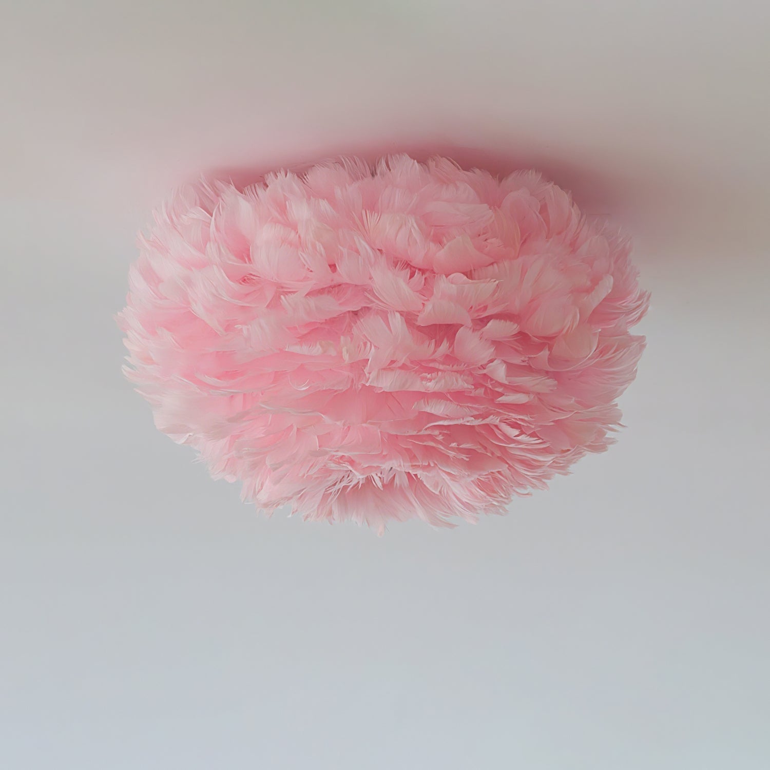 Feathered Ceiling Lamp by FIFTH & BEAM — product view 14