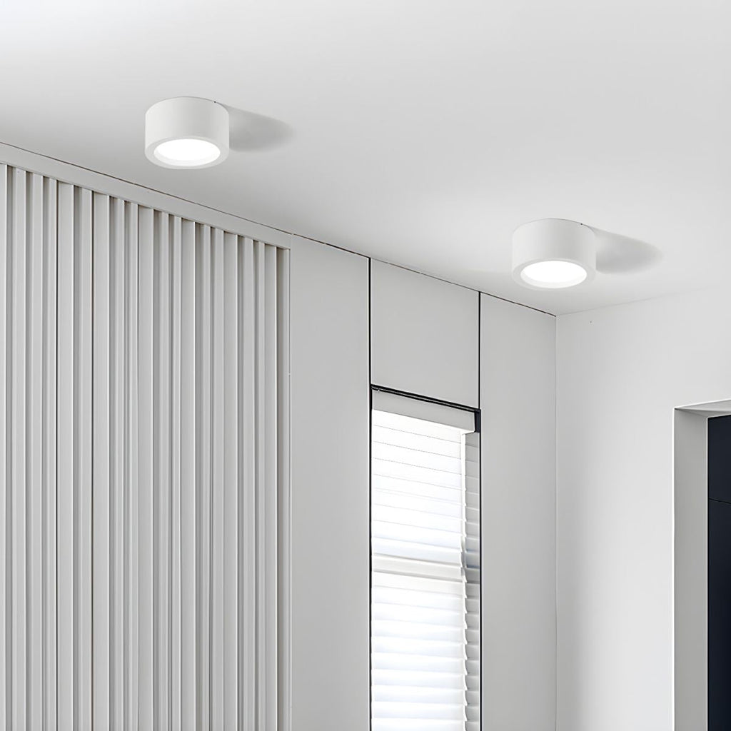 Ethan Surface Ceiling Light by FIFTH & BEAM — product view 5