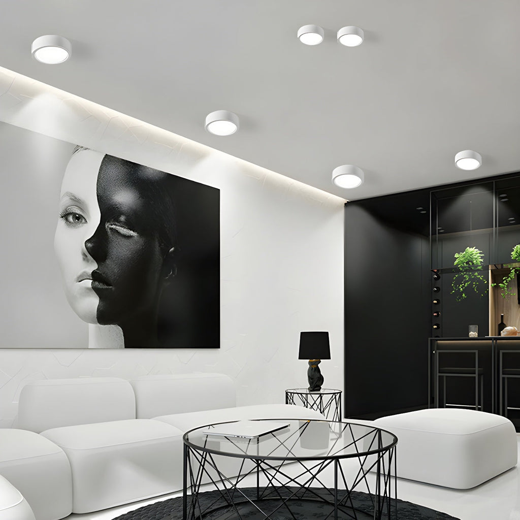 Ethan Surface Ceiling Light by FIFTH & BEAM — product view 11