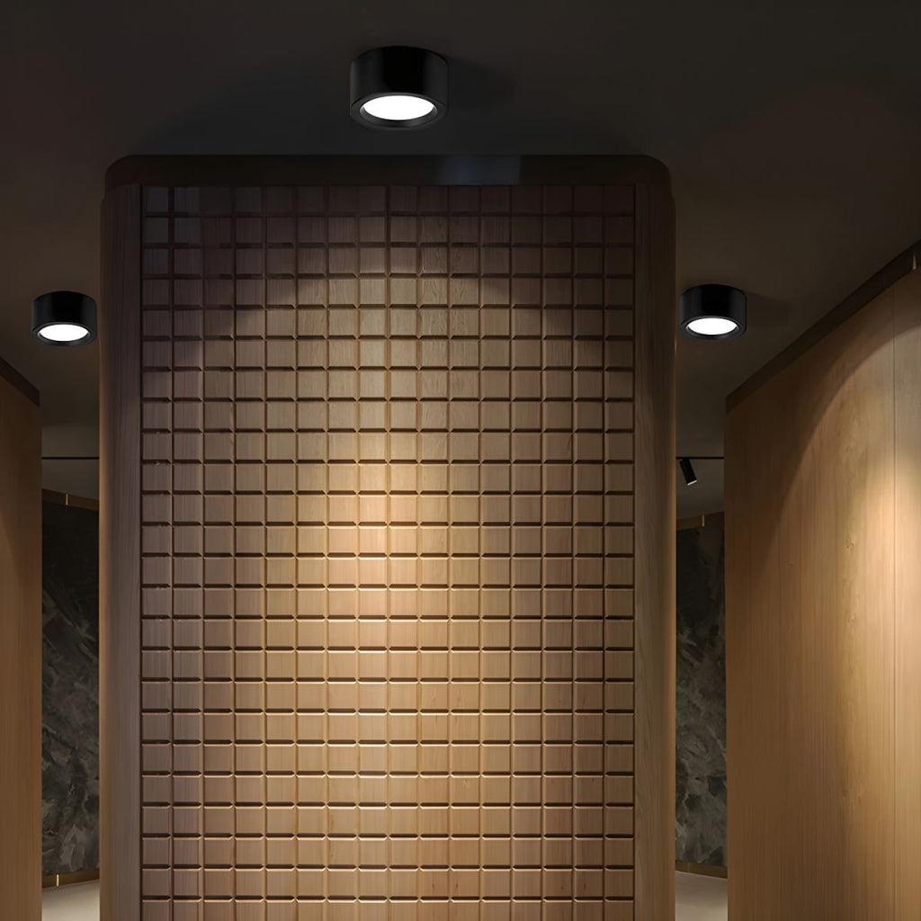 Ethan Surface Ceiling Light by FIFTH & BEAM — product view 6