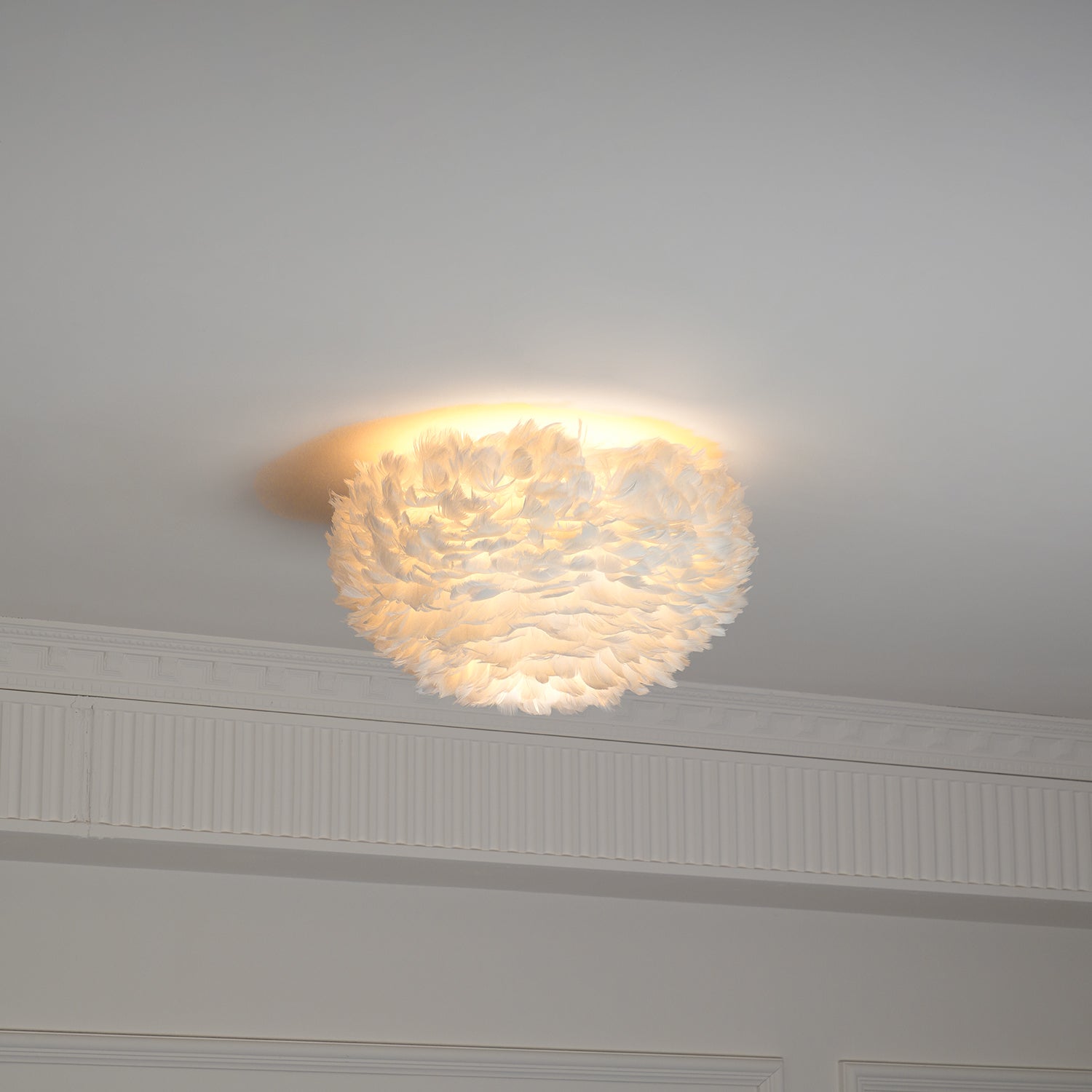 Feathered Ceiling Lamp by FIFTH & BEAM — product view 29