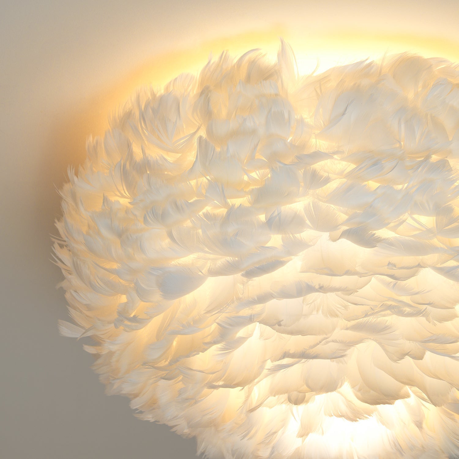 Feathered Ceiling Lamp by FIFTH & BEAM — product view 32