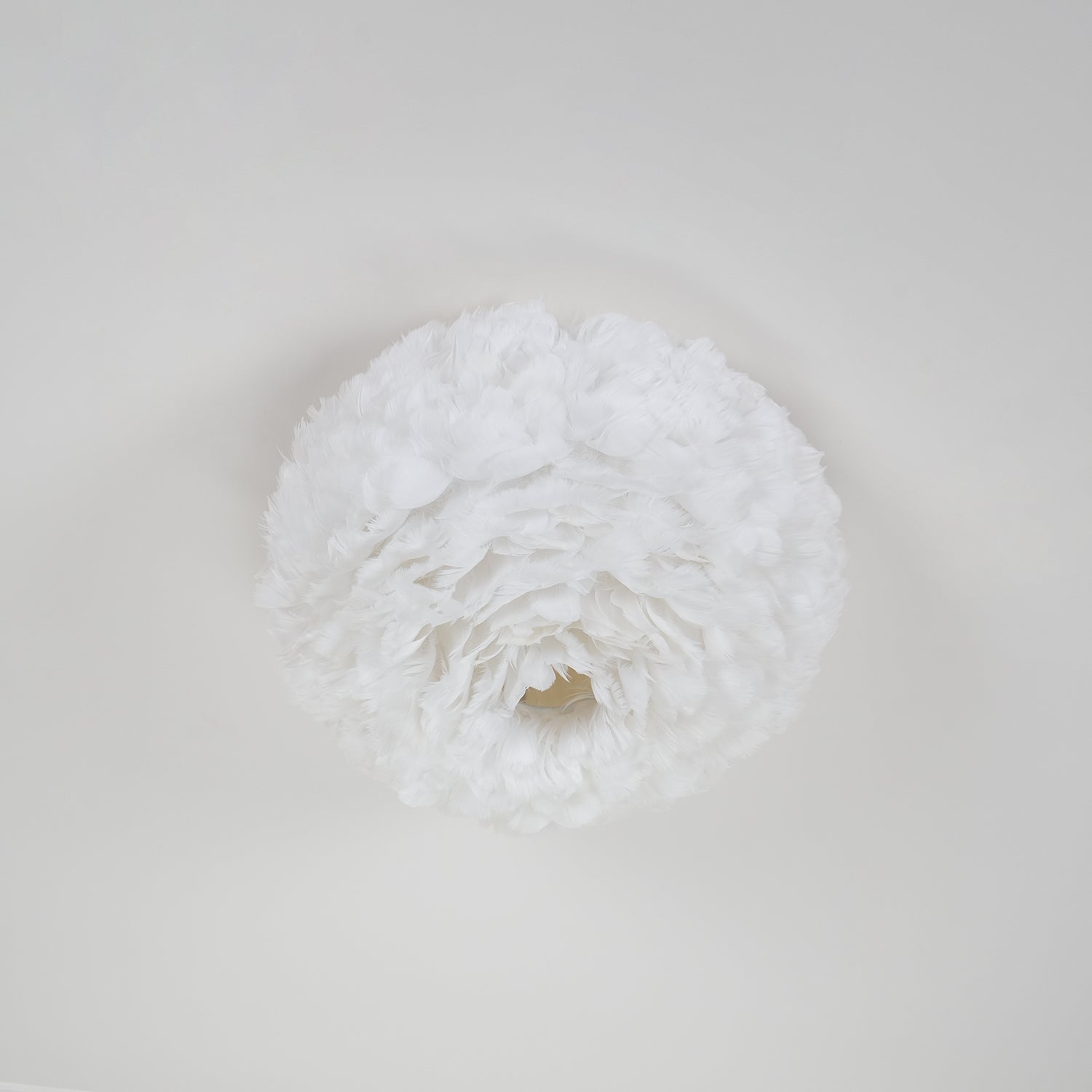 Feathered Ceiling Lamp by FIFTH & BEAM — product view 22