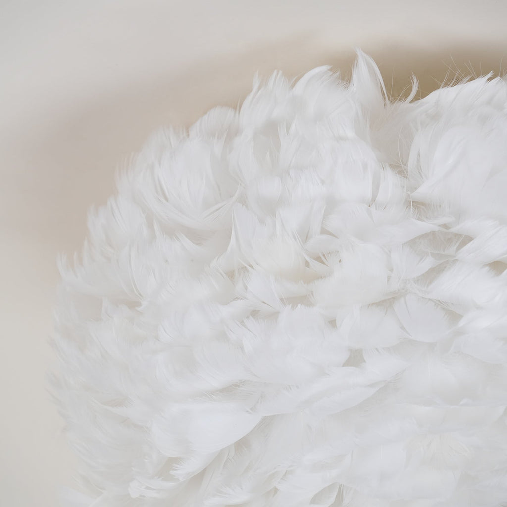 Feathered Ceiling Lamp by FIFTH & BEAM — product view 25