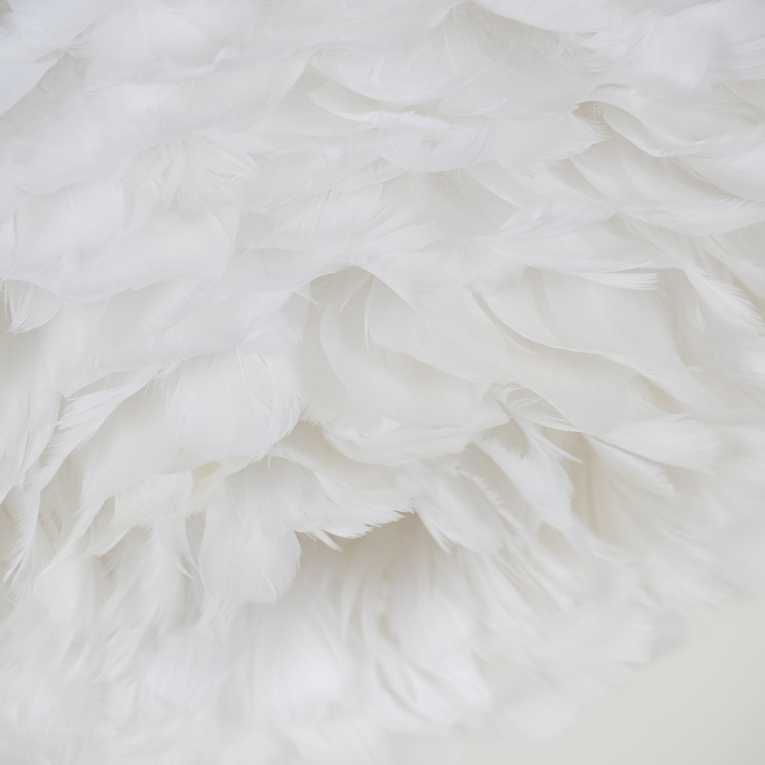 Feathered Ceiling Lamp by FIFTH & BEAM — product view 26