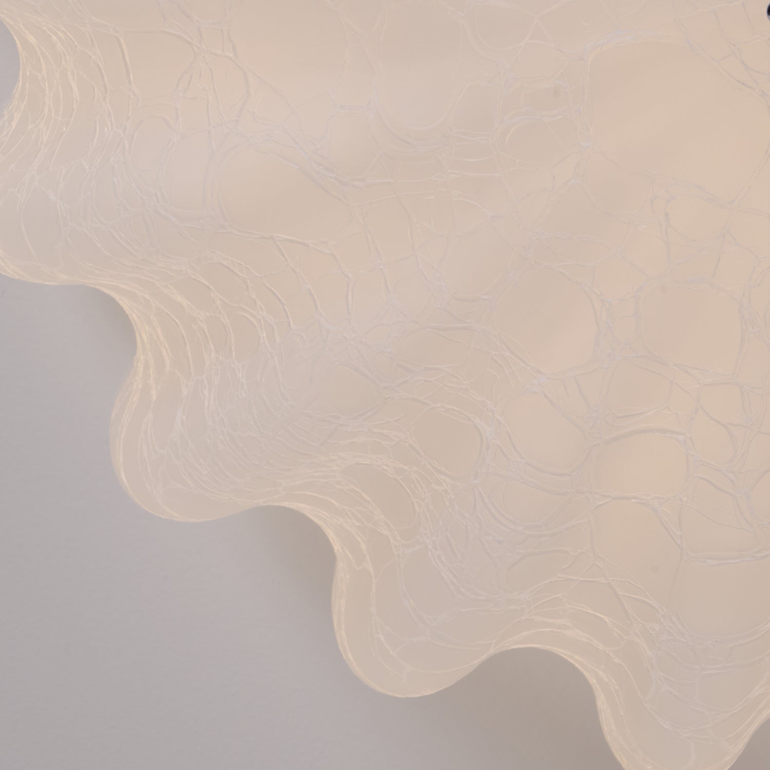 Flowers Curse Ceiling Light by FIFTH & BEAM — product view 24