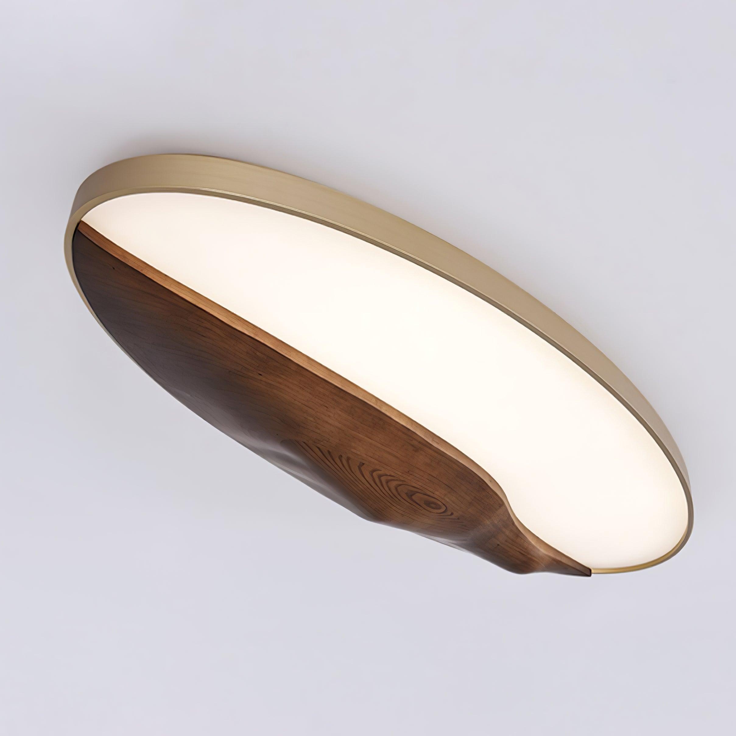 Half-Mountain Ceiling Lamp 47.2" by FIFTH & BEAM — product view 19
