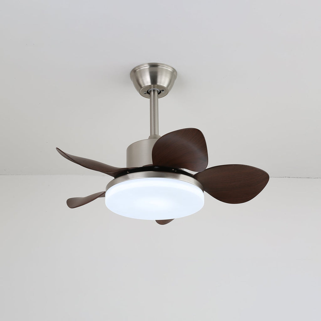 Hazel Ceiling Fan Light by FIFTH & BEAM — product view 4