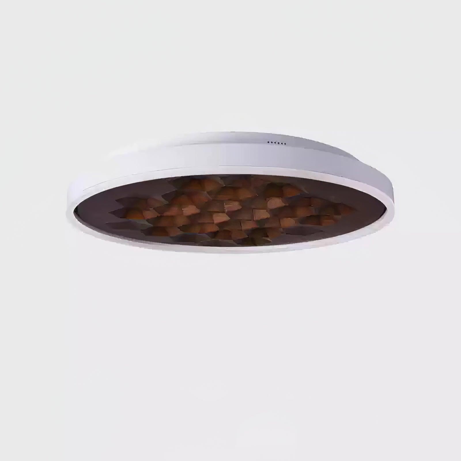 Heartwood Ceiling Lamp by FIFTH & BEAM — product view 21