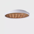 Heartwood Ceiling Lamp by FIFTH & BEAM — product view 18