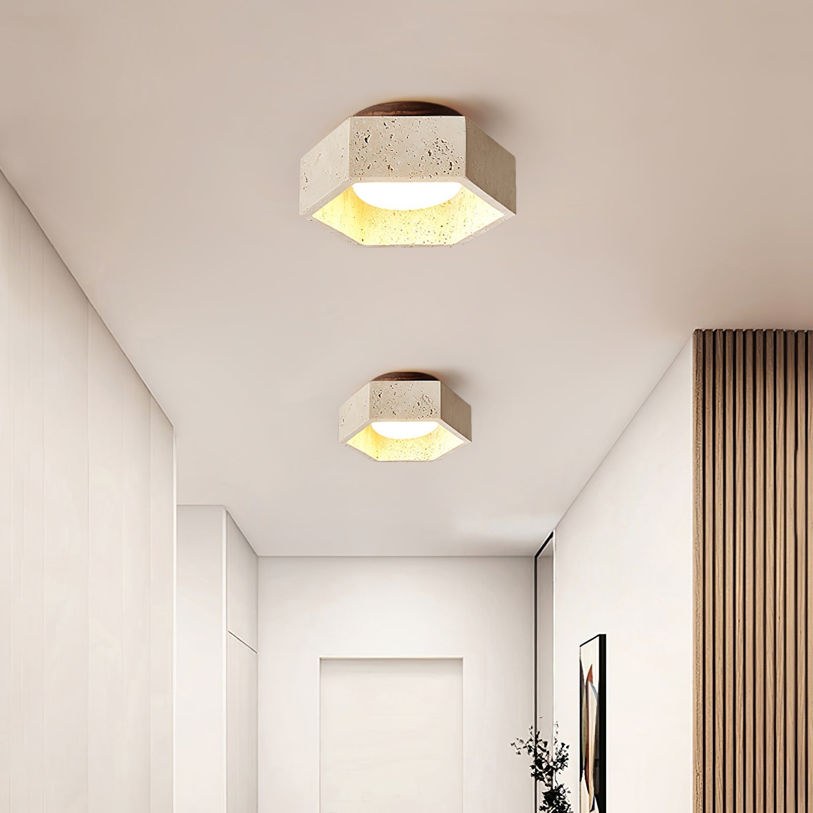 Hexa Core Ceiling Light by FIFTH & BEAM — product view 12