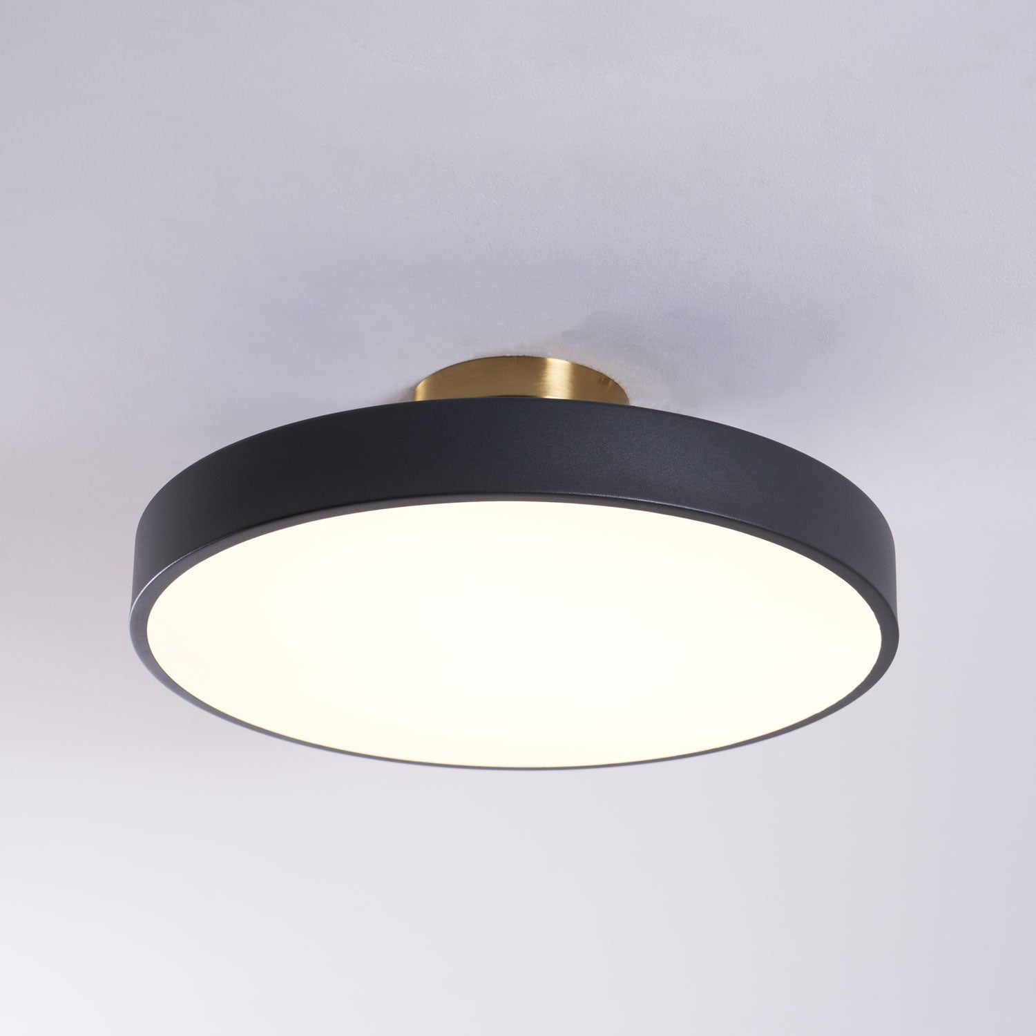 Isla Flush Mount Ceiling Lamp by FIFTH & BEAM — product view 38