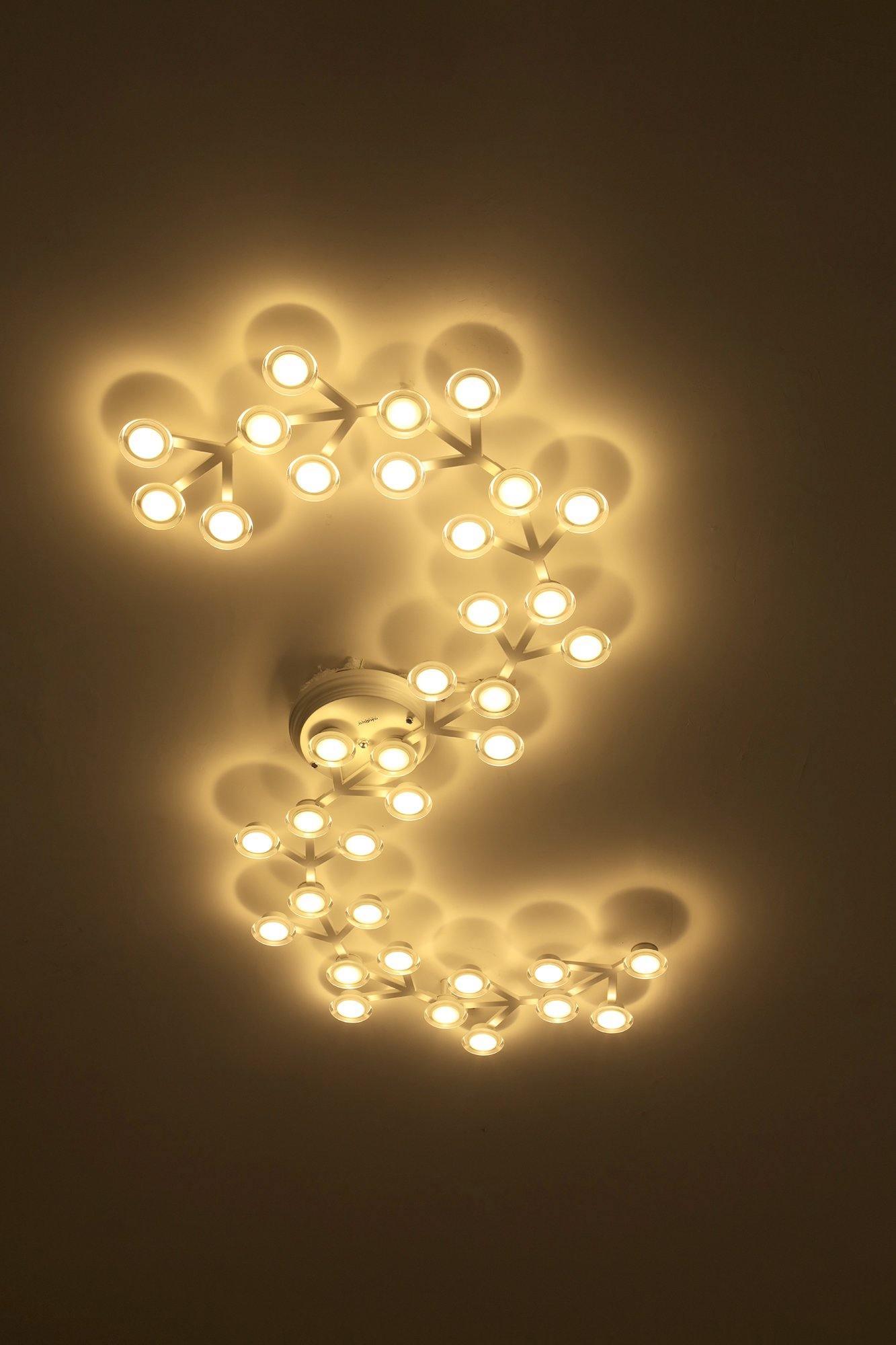 LED Net Ceiling Lamp by FIFTH & BEAM — product view 44