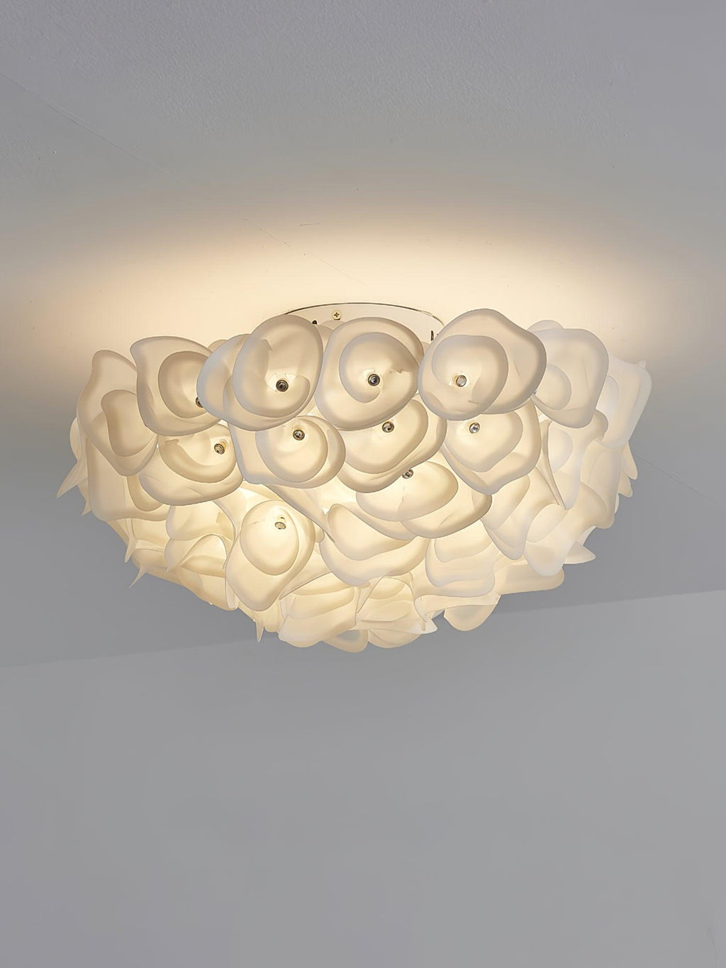 Leighton Ceiling Light by FIFTH & BEAM — product view 17