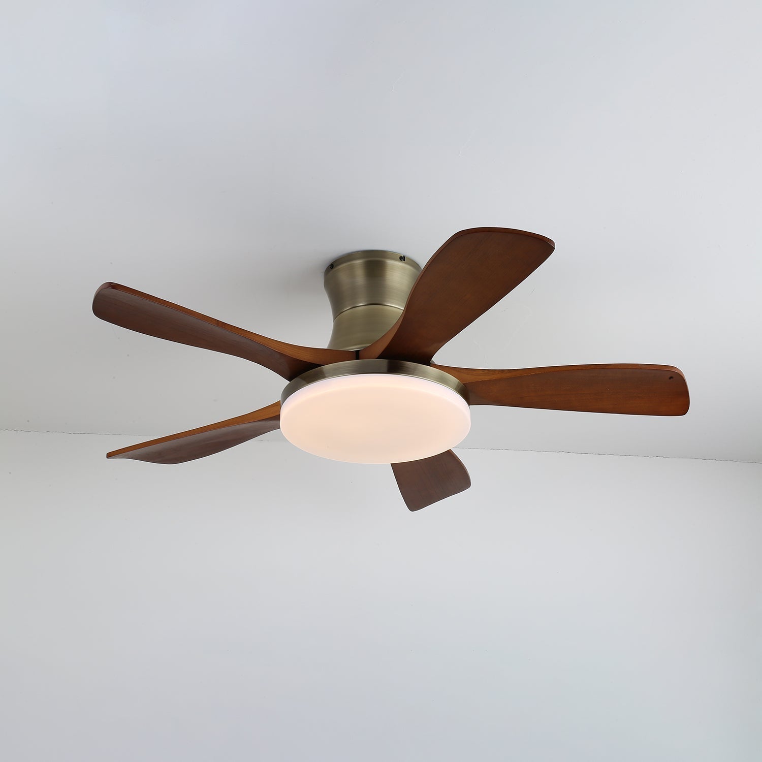 Liam Ceiling Fan Light by FIFTH & BEAM — product view 7