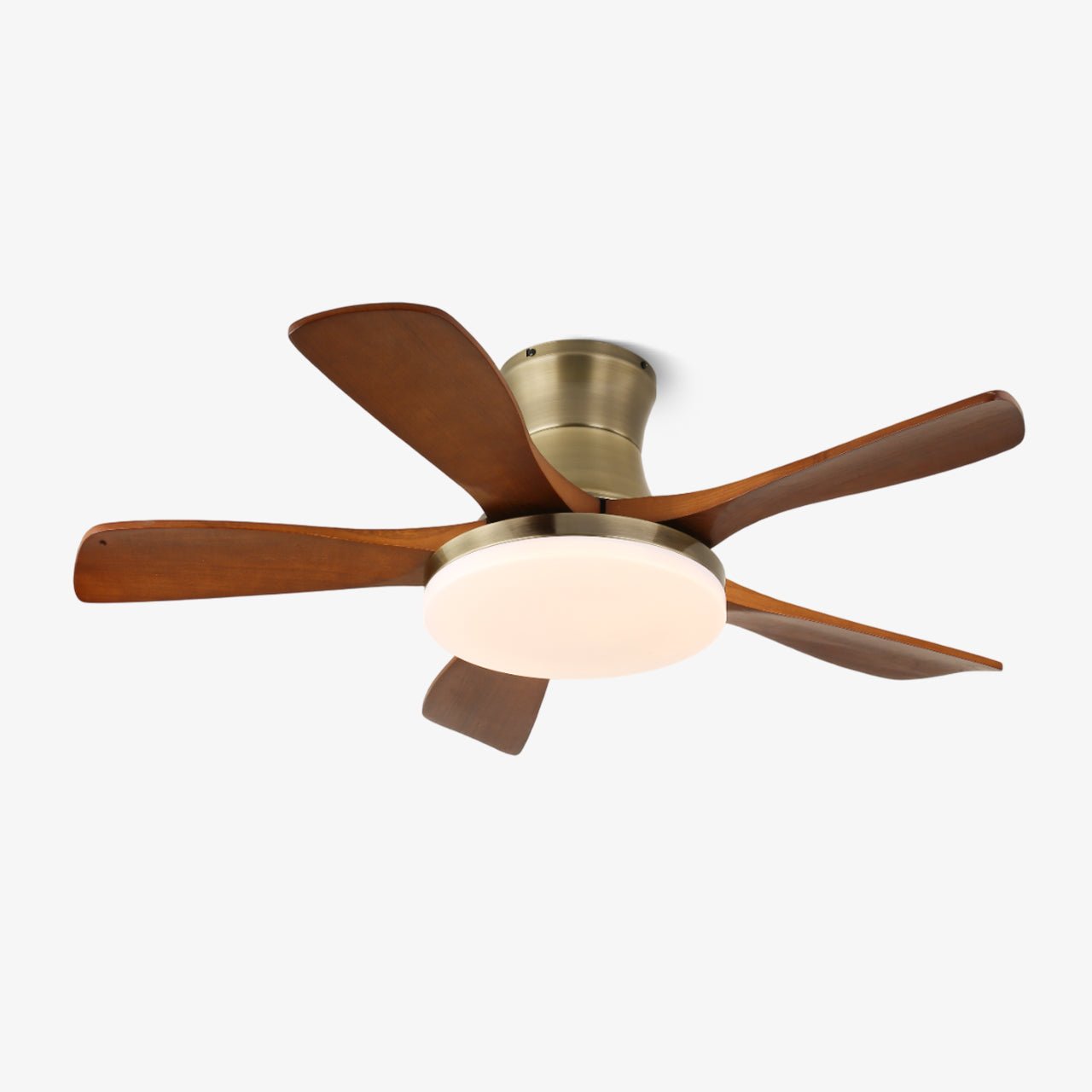 Liam Ceiling Fan Light by FIFTH & BEAM — product view 1