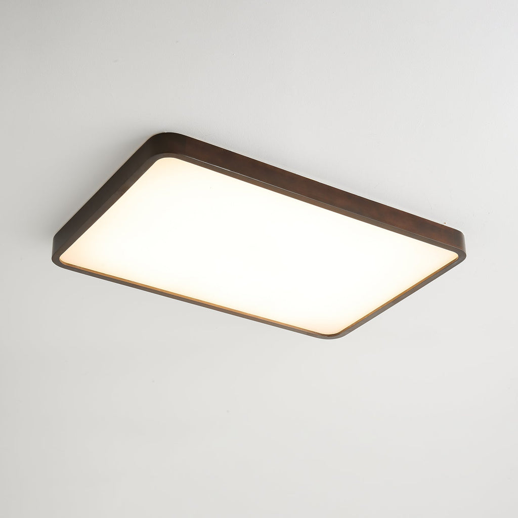 Lira Rectangular Ceiling Light by FIFTH & BEAM — product view 12